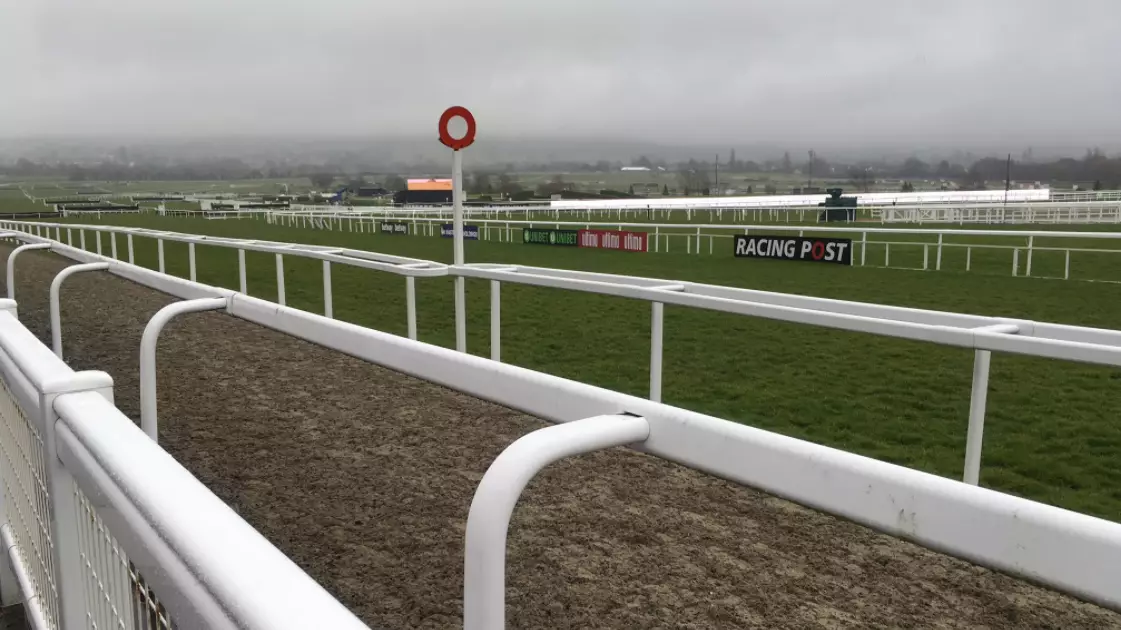 Cheltenham Festival Day One: All The Tips You Need 