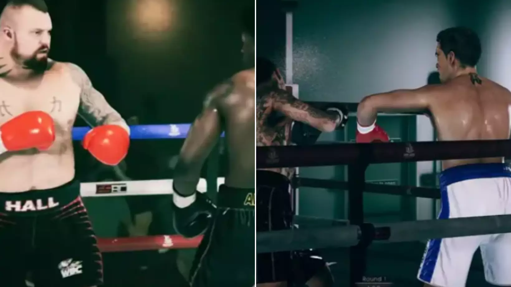 A Stunning First Look At The New Boxing Game Shows It Could Be The Next 'Fight Night'
