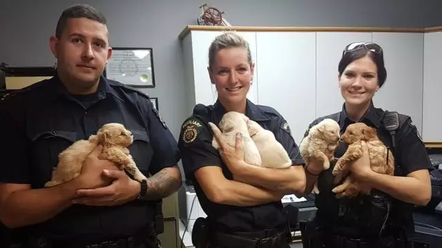 Police Rescue Litter Of Puppies Hidden Underground By Mum