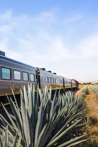 The Jose Cuervo Express tour is one of the most famous tequila tours in the area (