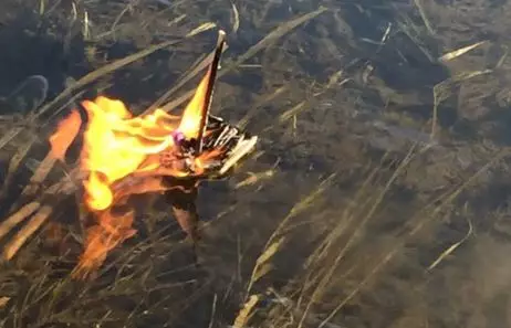 Dead Pet Fish Receives Funeral Fit For A Viking