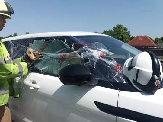 The car's window was smashed to release Bertie.