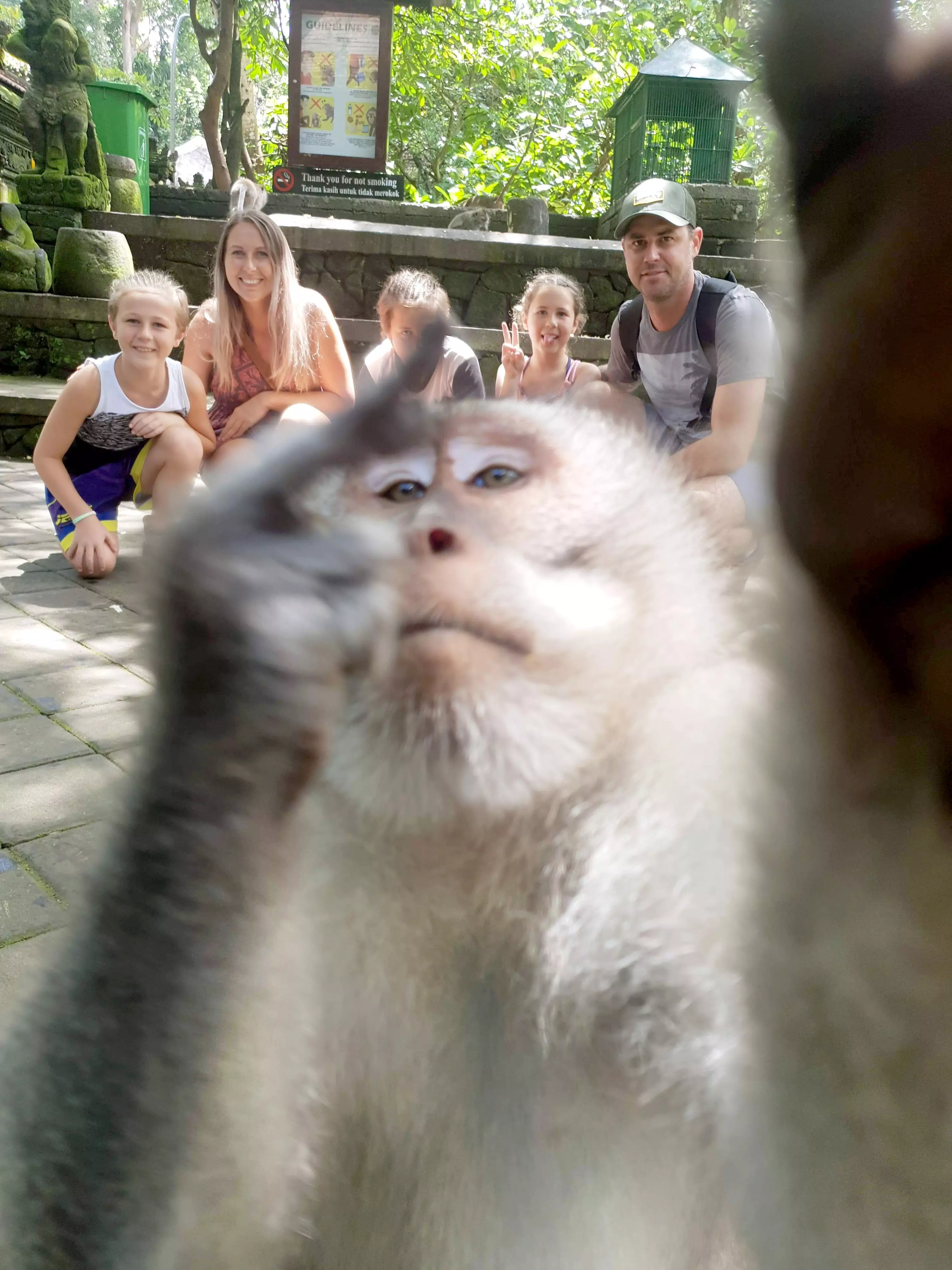 Nothing says taking the piss quite like a monkey giving you the finger.