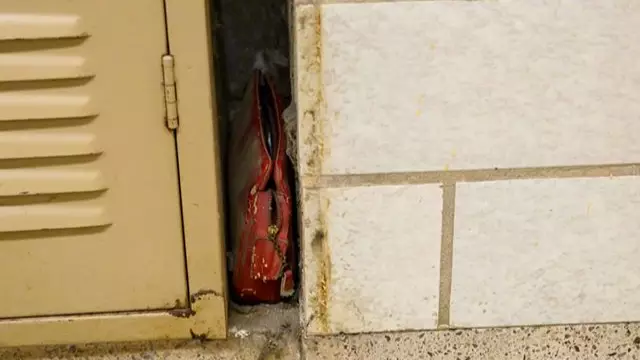 Purse Lost By Pupil In 1957 Found Behind Locker In School 