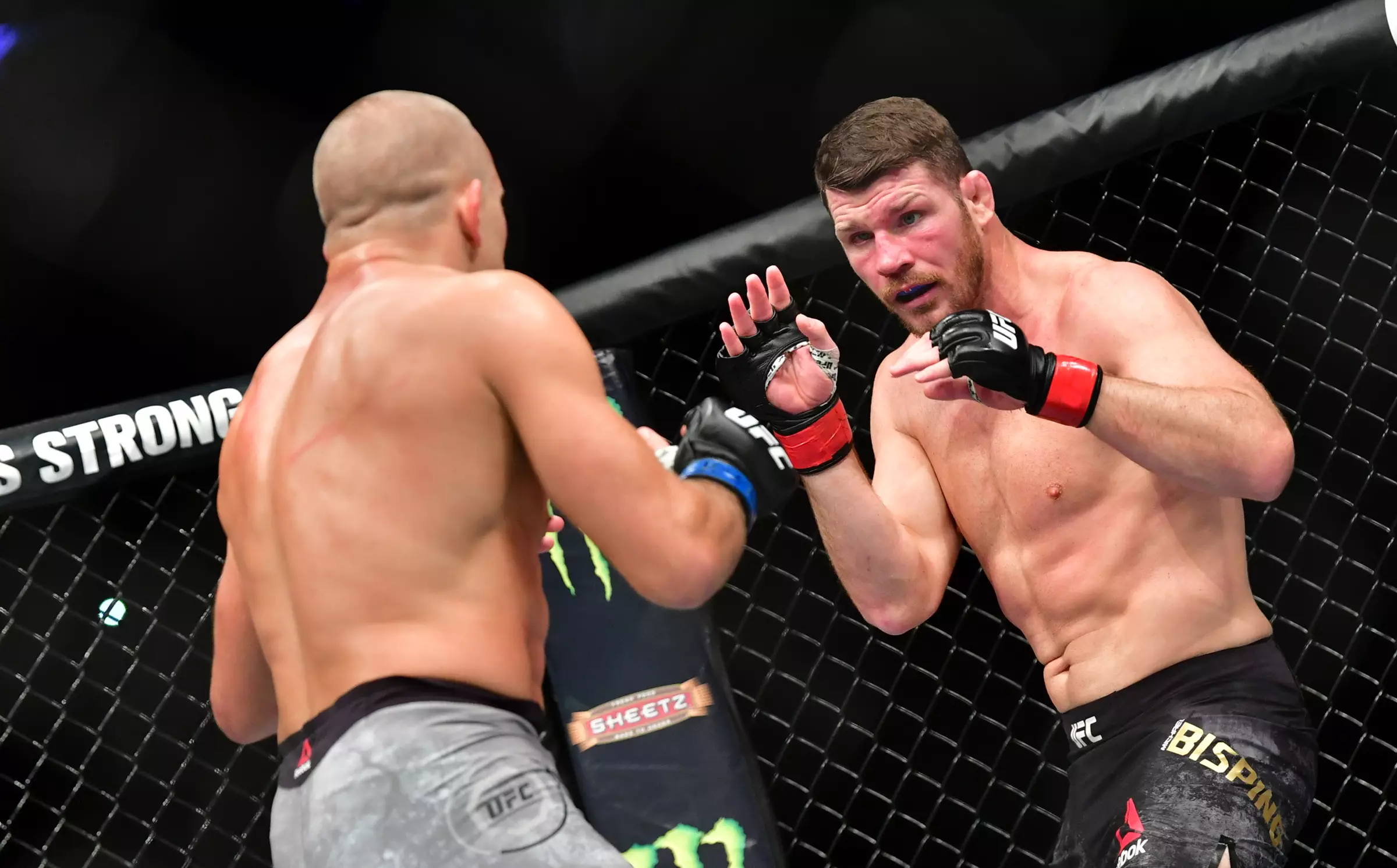Michael Bisping retired in 2017 and is one of the greatest British fighters ever