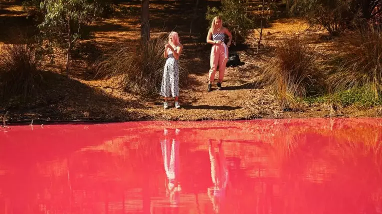Incredible Pictures Show How An Australian Lake Turns Pink In Summer