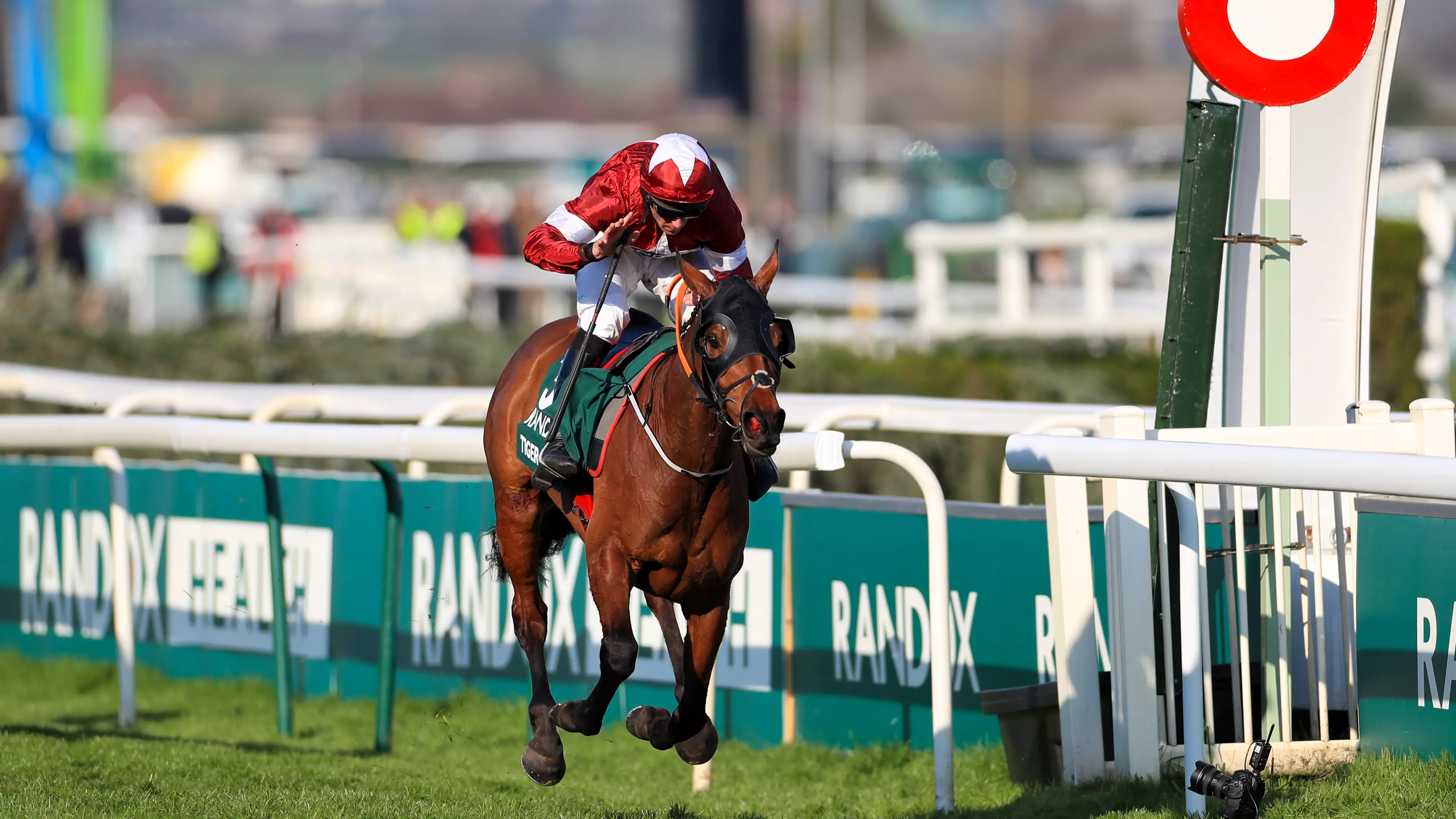 Tiger Roll Has Won The Grand National For The Second Year Running