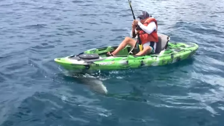 Fisherman Bites Off More Than He Can Chew When Wrestling With Shark 