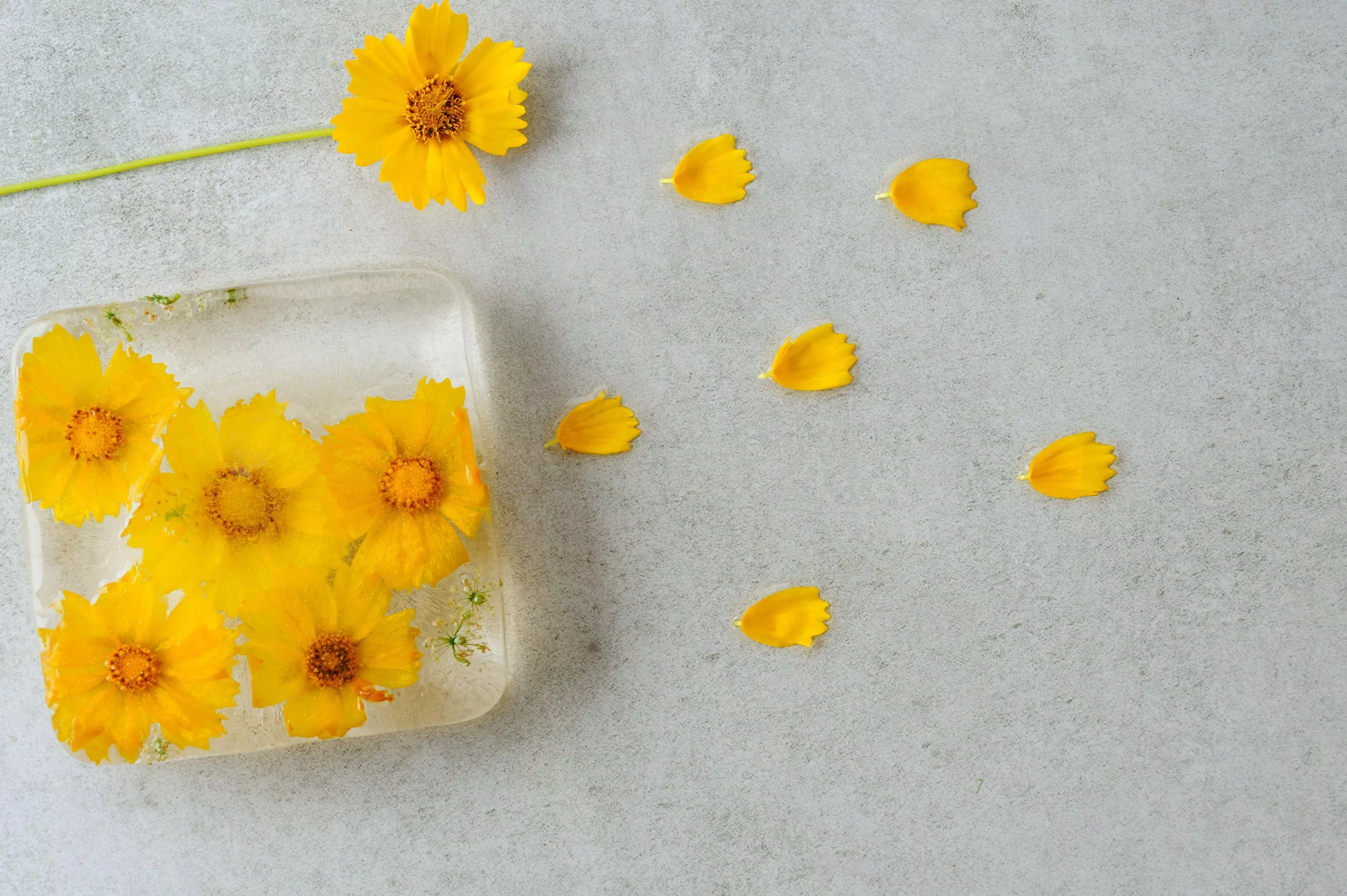 You can't just use any flowers for your ice cubes (