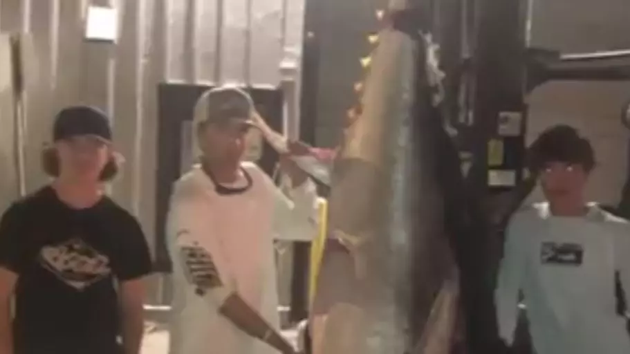 Teenage Fishermen Reel In 317kg Bluefin Tuna After Seven Hour Fight