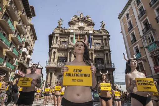 Demonstrators protest against bullfighting in front of the City Hall a day before of the famous San Fermin festival.