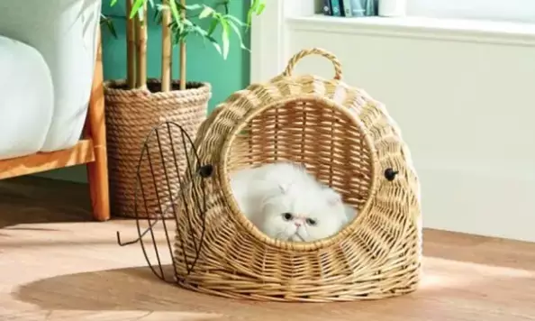 Alongside the egg chair, a cat igloo is also available (
