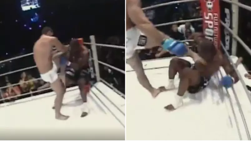 Referee's Head-Cam Gives Incredible First-Person View Of Shogun's Destruction of Rampage Jackson