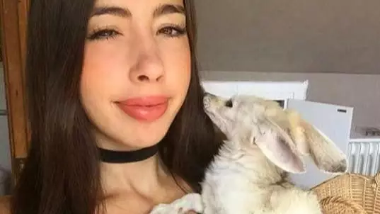 People Are Angry At YouTuber Sonia Sae Giving Her Fox A Vegan Diet