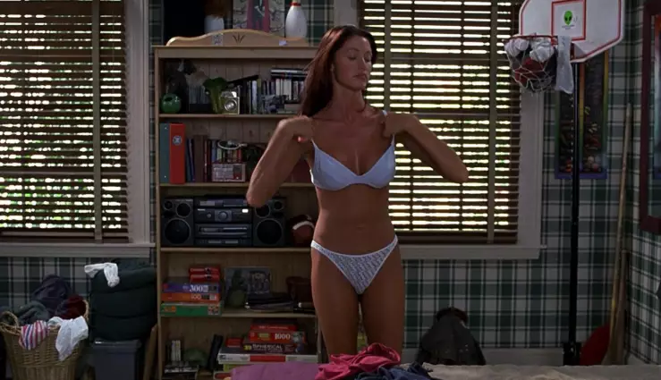 Shannon Elizabeth starred as Nadia in three movies within the American Pie franchise.