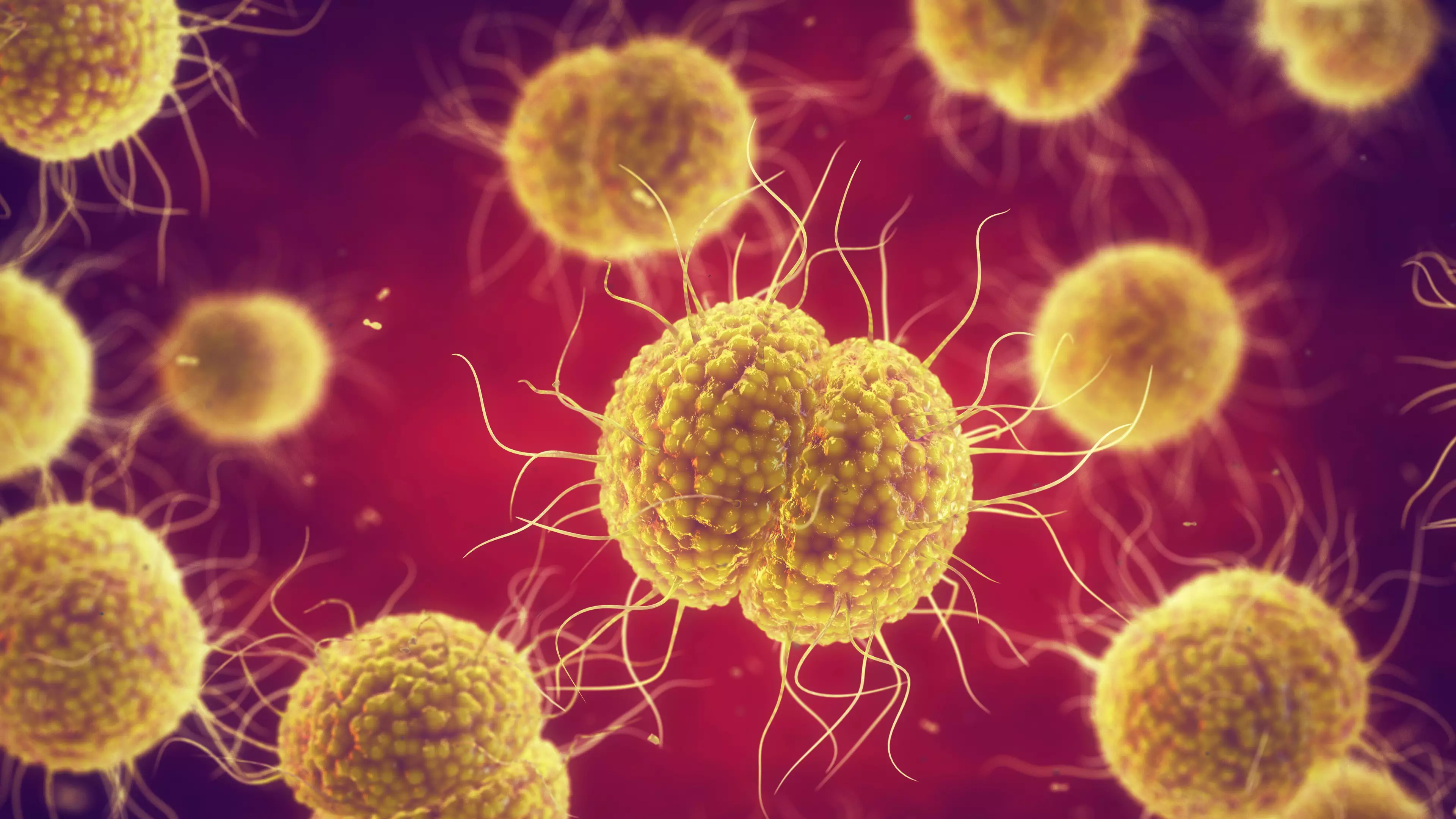 UK Dubbed Gonorrhea Capital Of Europe