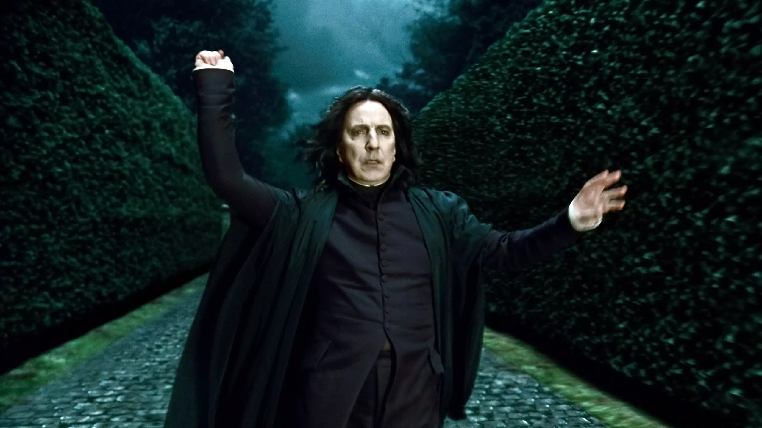 Alan Rickman played Severus Snape in the Harry Potter franchise (