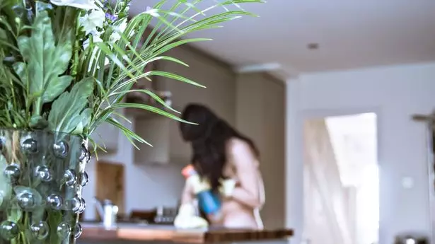 A Company Is Looking For People To Start Work As Naked Cleaners