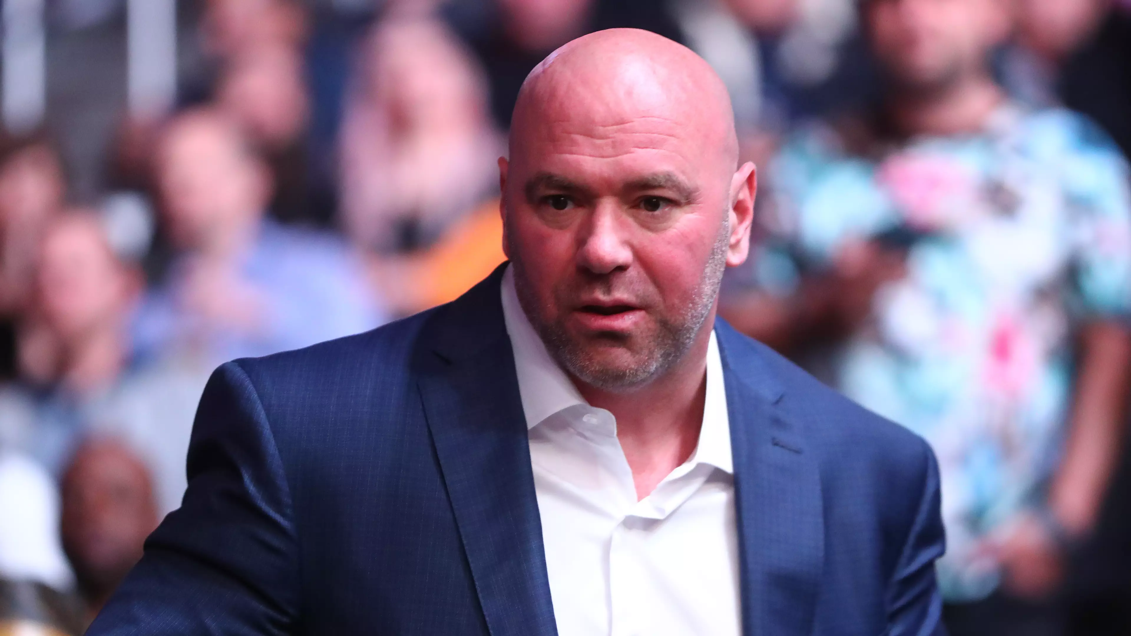Dana White Says He's Buying A Private Island For UFC Fights