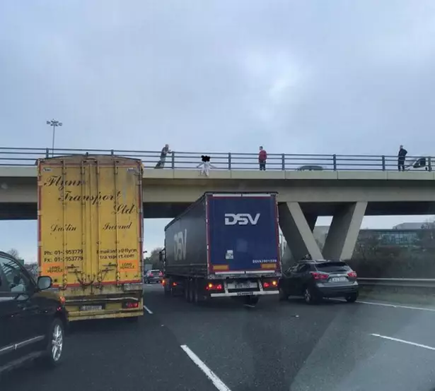 A lorry driver has been hailed a 'hero' for stopping under a motorway bridge as a girl sat on the edge.