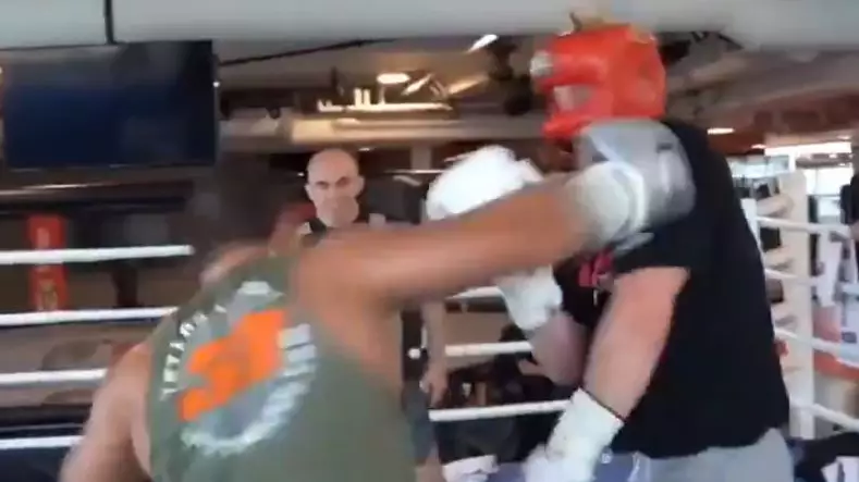Logan Paul Gets Knocked Out By Professional UFC Fighter