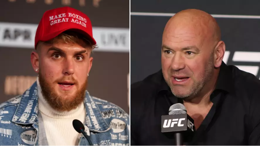 'I Would Never Say Never': Dana White Backflips On Jake Paul's Future In The UFC