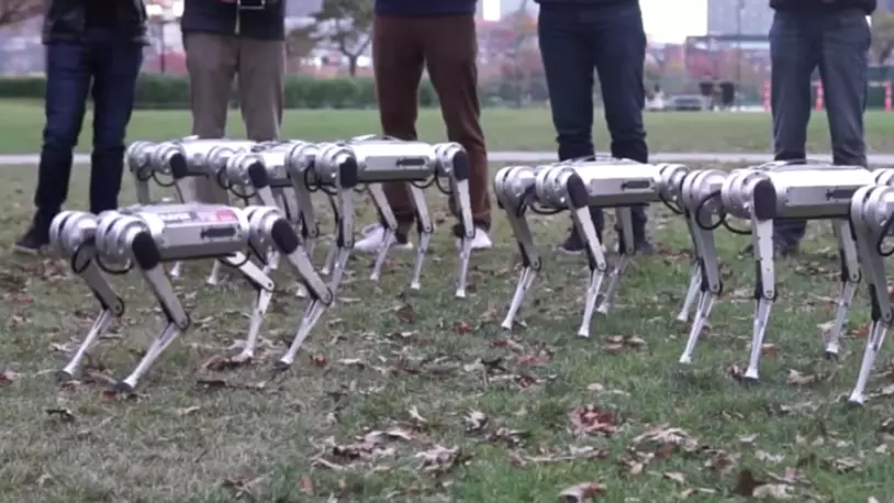 University Develops Robots That Look Eerily Similar To The Machines In Black Mirror