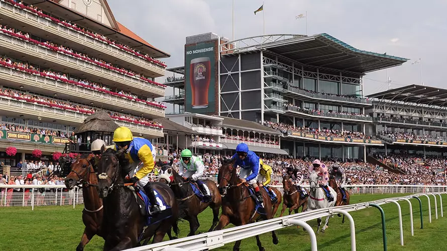 ODDSbible Racing: Tips For Day One Of York's Ebor Meeting