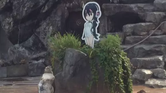 Penguin Dies Alongside Cut-Out Of His Favourite Manga Character