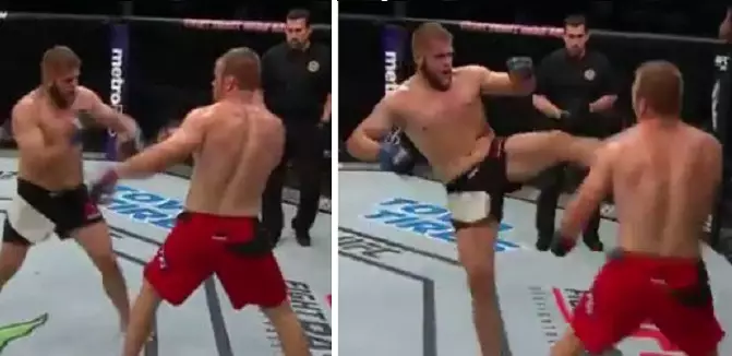 WATCH: Heavyweight UFC Fighter Knocks Out Opponent With Brutal Head Kick