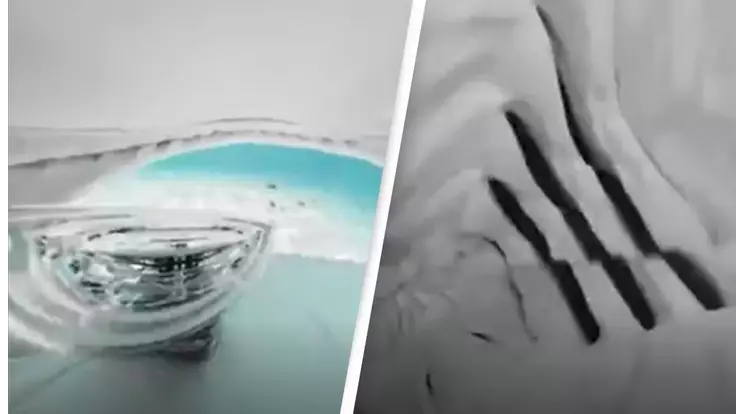Serangan Hiu yang Tertangkap Kamera